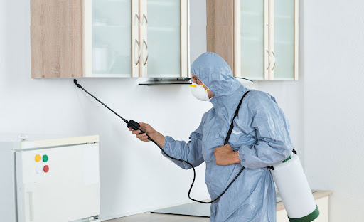 Commercial Pest Control: A Proactive Approach to Pest Management